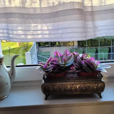 Mia Casa